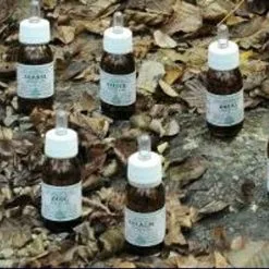 Alchemica MO18 Rosmarino Oleolito Da Massaggio 30ml