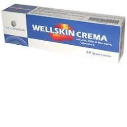 WELLPHARMA Srl Wellskin Crema 60g